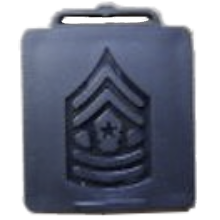 Command Sergeant Major