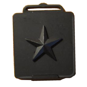 Brigadier General